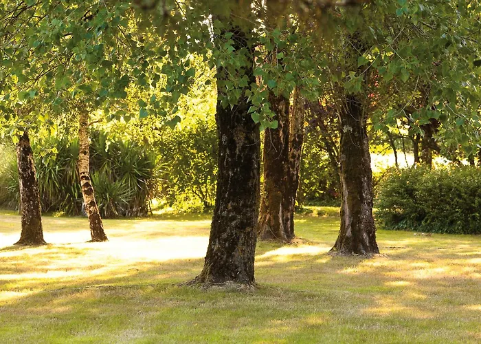 Hotel Kyriad Nantes Sud - Aeroport